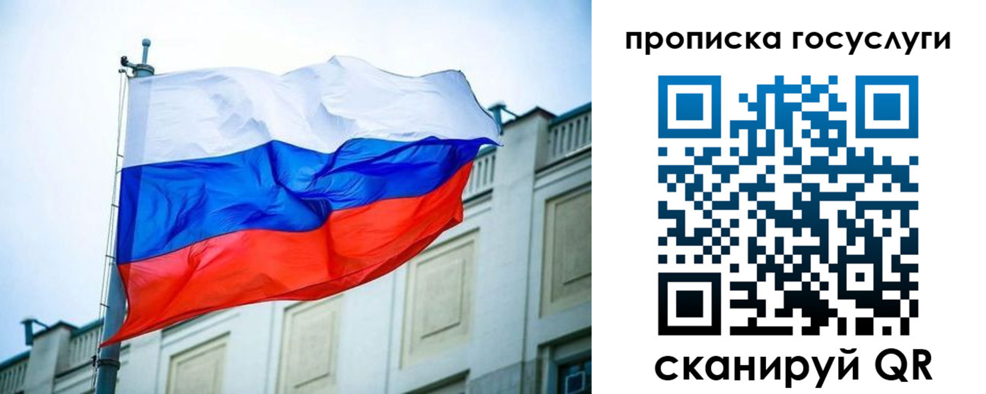 прописка поиск в Жуковском